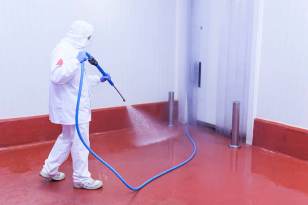 Best Roof Cleaning and Mildew Removal in Oak Hill, WV